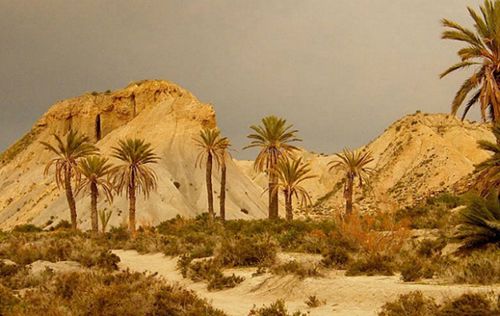 tabernas 5