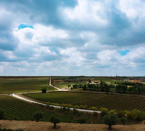 tordesillas4