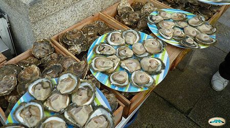 ostras (1)