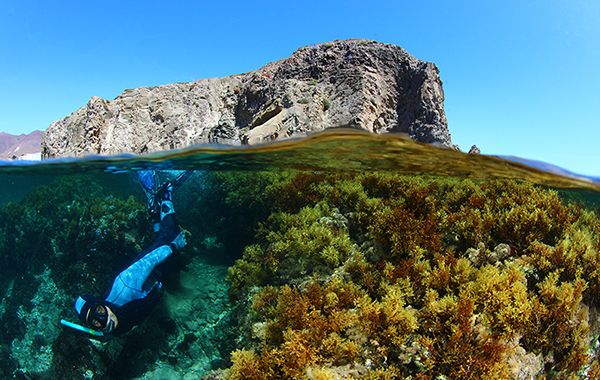 snorkel-cabo-de-gata