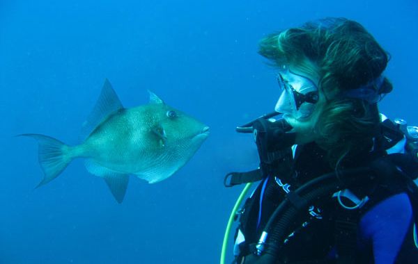 escuela_buceo_branquias_ballestasinmares-big