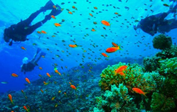 bautismo-de-buceo